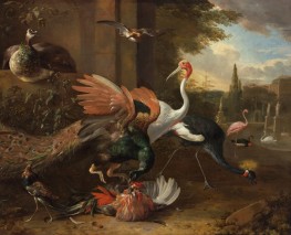 Ein Pfau Attackiert einen Hahn | Melchior d'Hondecoeter | Gemälde Reproduktion