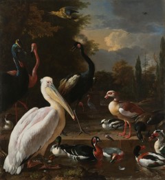 A Pelican and other Birds near a Pool (The Floating Feather) | Melchior d'Hondecoeter | Painting Reproduction