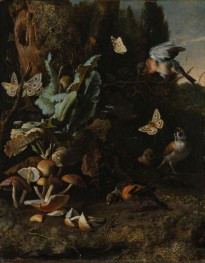 Forest Floor Still Life with Birds, Butterflies and a Lizard | Melchior d'Hondecoeter | Painting Reproduction