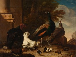 A Hen with Peacocks and a Turkey | Melchior d'Hondecoeter | Painting Reproduction