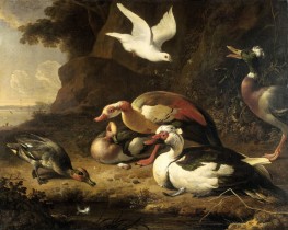 Ducks | Melchior d'Hondecoeter | Painting Reproduction