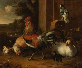 A Poultry Yard, c.1660/65 by Melchior d'Hondecoeter | Painting Reproduction