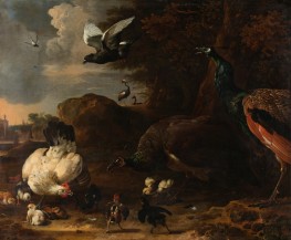 Zwei Pfauen Bedrohen eine Henne mit Küken (Die Bedrohte Henne) | Melchior d'Hondecoeter | Gemälde Reproduktion