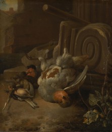 Dead Birds | Melchior d'Hondecoeter | Painting Reproduction