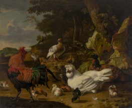 Chicken ... | Melchior d'Hondecoeter | Painting Reproduction