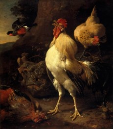 Victorious Cockerel | Melchior d'Hondecoeter | Painting Reproduction