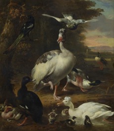 Birds | Melchior d'Hondecoeter | Painting Reproduction