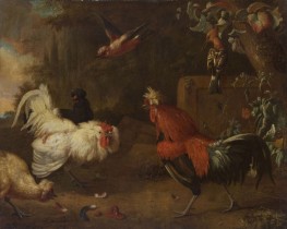 A Rooster and a Hen Fighting, n.d. by Melchior d'Hondecoeter | Painting Reproduction