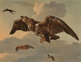 Ein Adler, eine Schwalbe, eine Schnepfe und ein ..., c.1650/60 von Melchior d'Hondecoeter | Gemälde-Reproduktion
