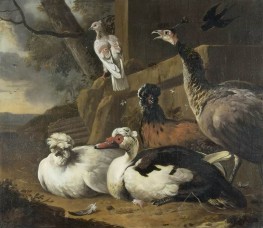 Hofgeflügel, c.1636/95 von Melchior d'Hondecoeter | Gemälde-Reproduktion