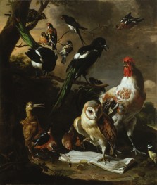 Vogelkonzert | Melchior d'Hondecoeter | Gemälde Reproduktion