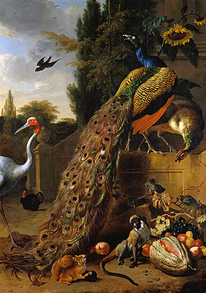 Peacocks, 1683 | Melchior d'Hondecoeter | Painting Reproduction
