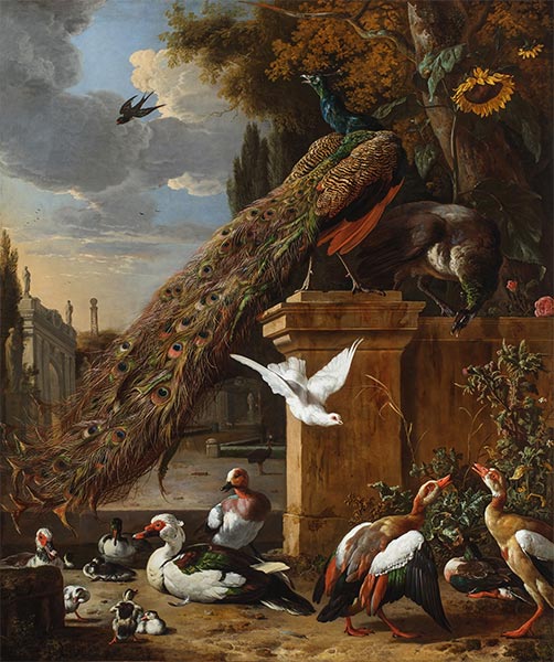 Pfauen und Enten, c.1680 | Melchior d'Hondecoeter | Gemälde Reproduktion