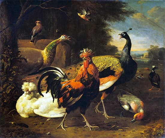 Ein Hahn mit anderen Vögeln, c.1668/95 | Melchior d'Hondecoeter | Gemälde Reproduktion