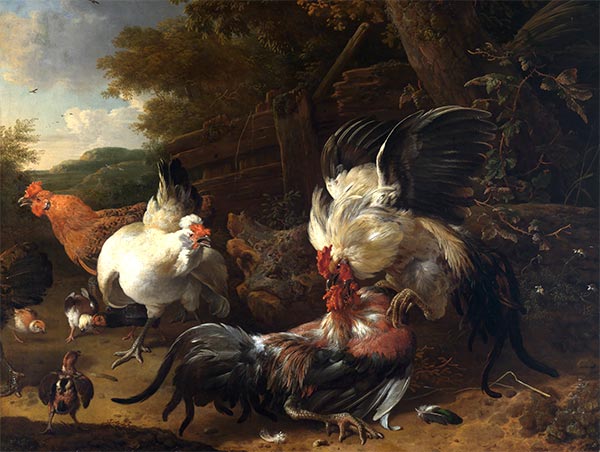 Fighting Roosters, 1668 | Melchior d'Hondecoeter | Painting Reproduction