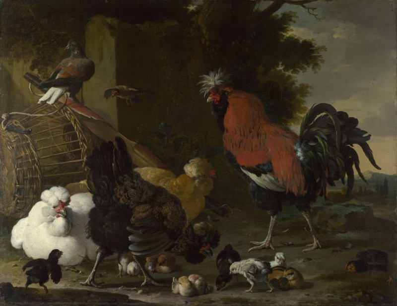 Melchior d'Hondecoeter | A Cock, Hens and Chicks, c.1668/70 A Cock, Hens and Chicks, c.1668/70 | Melchior d'Hondecoeter