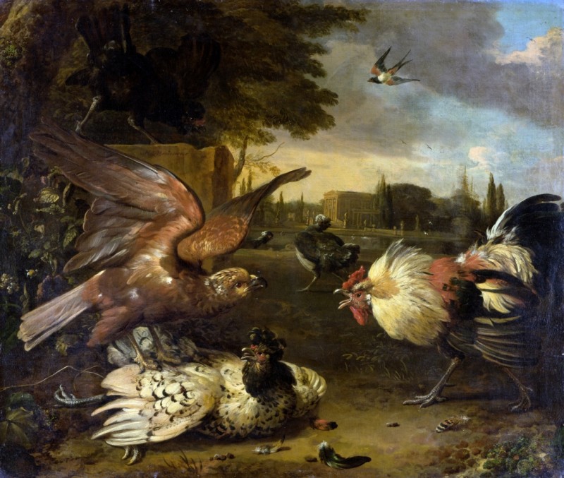 Melchior d'Hondecoeter | Ein Hahn verteidigt eine von einem Falken geschlagene Henne, c.1680/90 Ein Hahn verteidigt eine von einem Falken geschlagene Henne, c.1680/90 | Melchior d'Hondecoeter