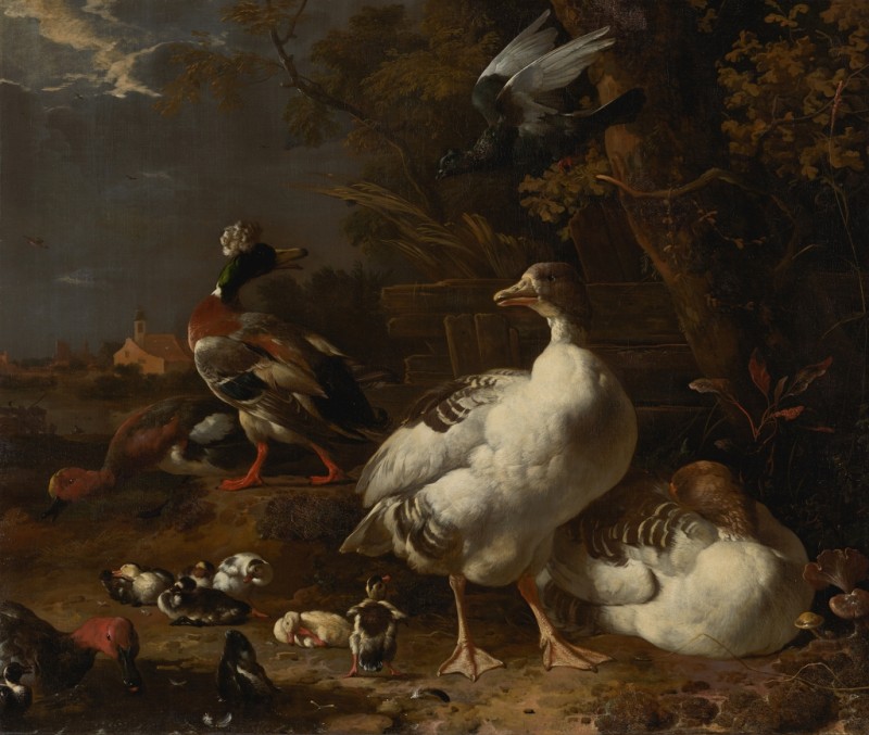 Geese and Ducks, 1680 | Melchior d'Hondecoeter