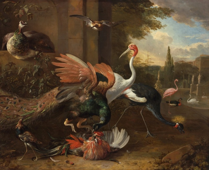 A Peacock Attacking a Rooster, a.1668 | Melchior d'Hondecoeter