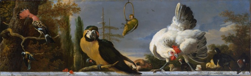 Melchior d'Hondecoeter | Birds on a Balustrade, c.1680/90 Birds on a Balustrade, c.1680/90 | Melchior d'Hondecoeter