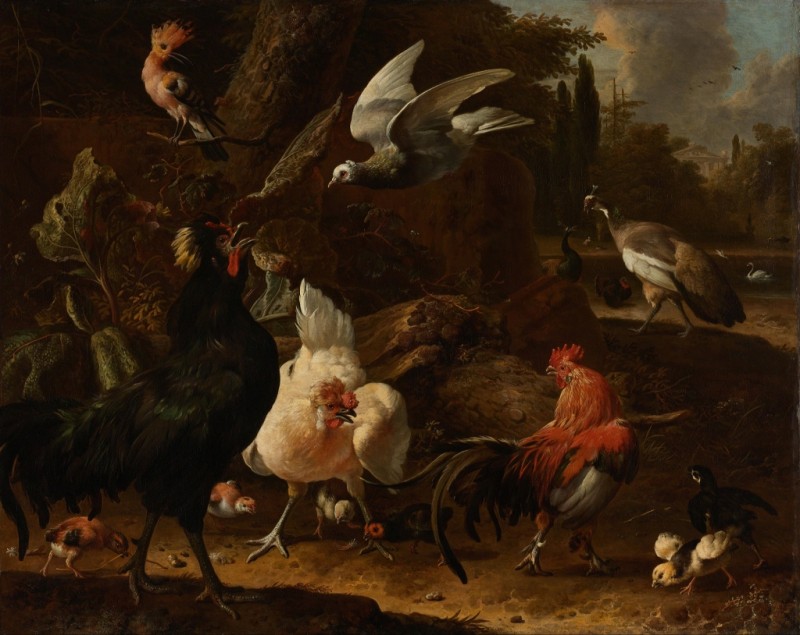 Melchior d'Hondecoeter | Birds in a Park, 1686 Birds in a Park, 1686 | Melchior d'Hondecoeter