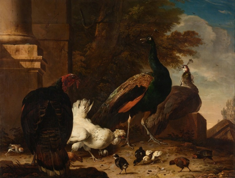 Melchior d'Hondecoeter | A Hen with Peacocks and a Turkey, c.1680 A Hen with Peacocks and a Turkey, c.1680 | Melchior d'Hondecoeter