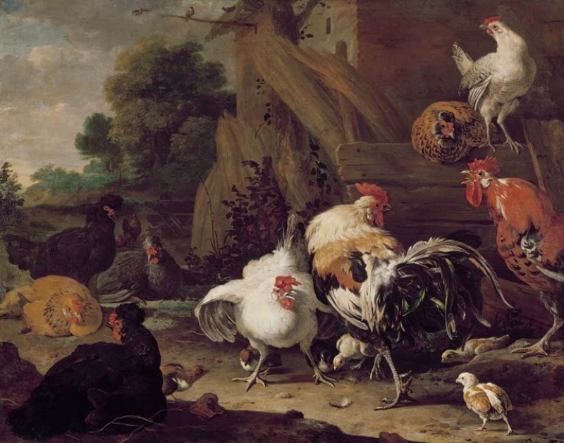 Hühner, c.1636/95 | Melchior d'Hondecoeter