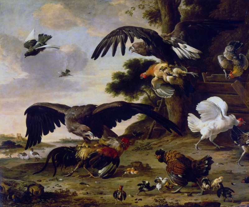 Melchior d'Hondecoeter | Eagle Attacking Hens, 1673 Eagle Attacking Hens, 1673 | Melchior d'Hondecoeter