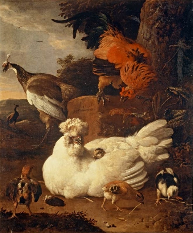 Melchior d'Hondecoeter | Mother Hen with Chicks and a Peacock, c.1680 Mother Hen with Chicks and a Peacock, c.1680 | Melchior d'Hondecoeter