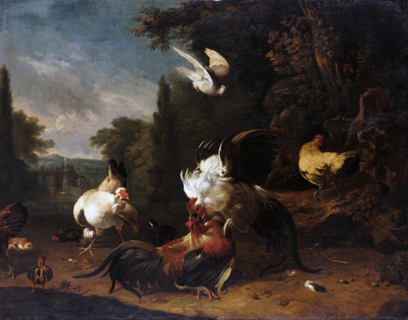 Ein Hahnenkampf, c.1685/86 | Melchior d'Hondecoeter