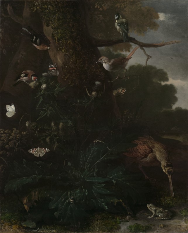 Animals and Plants of the Forest, c.1670/80 | Melchior d'Hondecoeter