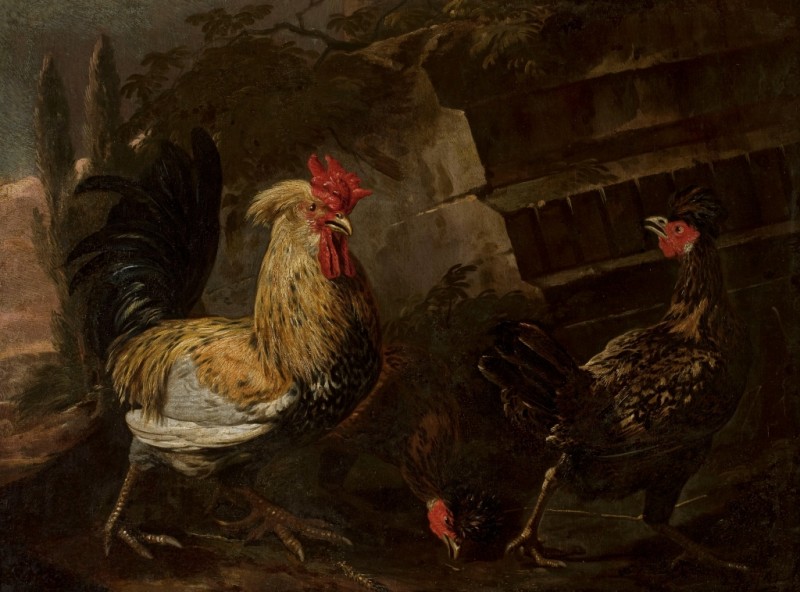 Rooster and Hens, n.d. | Melchior d'Hondecoeter