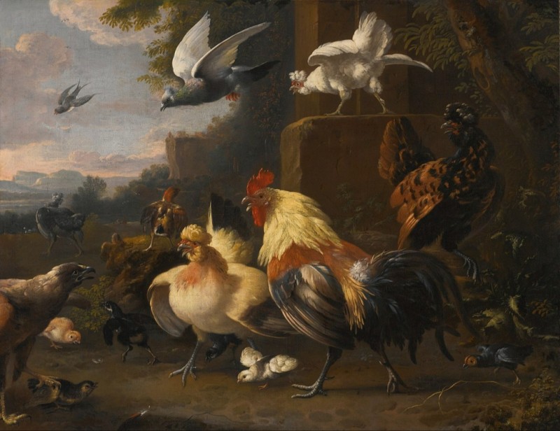 An Eagle, a Cockerell, Hens, a Pigeon in Flight and Other Birds, n.d. | Melchior d'Hondecoeter