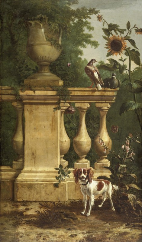 Pigeons and a Dog in a Garden, n.d. | Melchior d'Hondecoeter