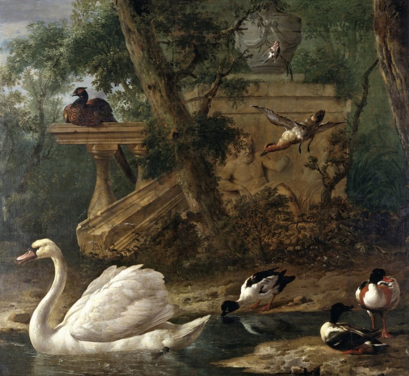 Birds in a Garden, n.d. | Melchior d'Hondecoeter