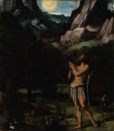 St. John the Baptist in the Wilderness | Moretto da Brescia | Painting Reproduction