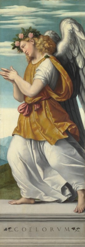 Moretto da Brescia | An Adoring Angel, a.1540 An Adoring Angel, a.1540 | Moretto da Brescia