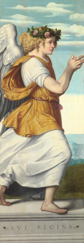 Moretto da Brescia | An Adoring Angel, a.1540 An Adoring Angel, a.1540 | Moretto da Brescia
