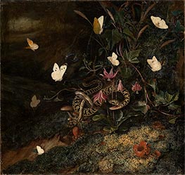 Weed with Snake and Butterflies, c.1665 by Otto Marseus van Schrieck | Painting Reproduction