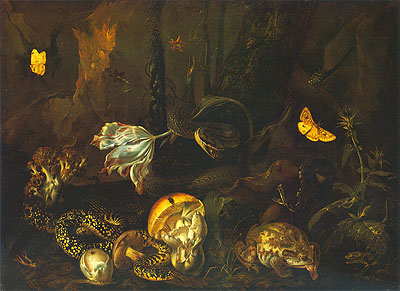 Still Life with Insects and Amphibians, 1662 | Otto Marseus van Schrieck | Painting Reproduction