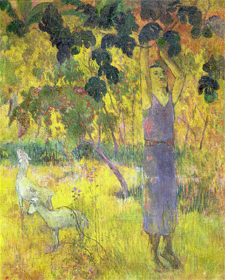 Man Picking Fruit from a Tree, 1897 | Gauguin