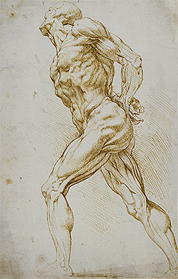 Anatomical Study (A Nude Striding to the Right), undated | Rubens | Painting Reproduction