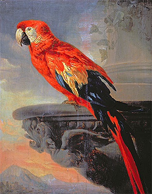 Parrot, c.1630/40 | Rubens | Painting Reproduction