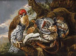 A Hawk Bearing Trophy Hunting, Undated by Pieter Boel | Painting Reproduction