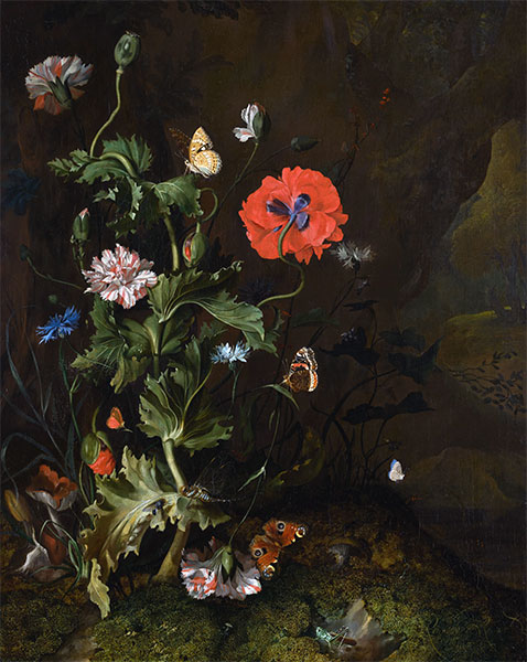Still Life of Thistle between Carnations and Cornflowers, 1683 | Rachel Ruysch | Painting Reproduction