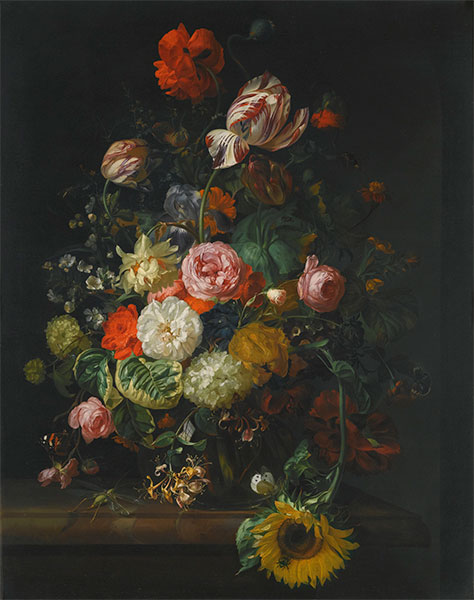 Still Life of Roses, Tulips and Sunflower, 1710 by Rachel Ruysch | Painting Reproduction