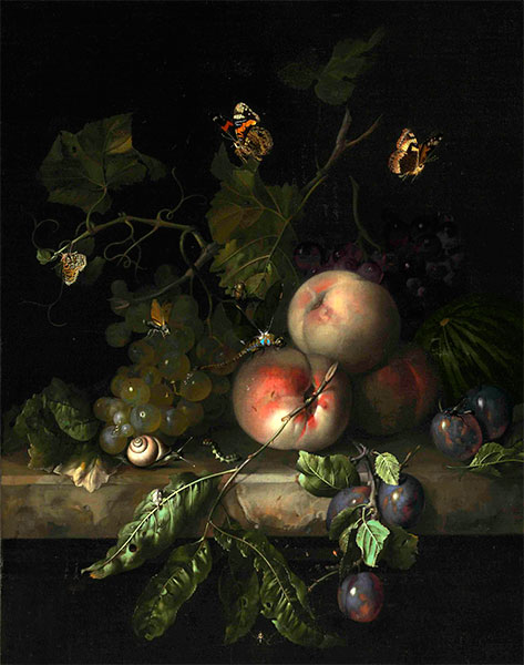 Peaches, Grapes and Plums with a Dragonfly, 1683 | Rachel Ruysch | Painting Reproduction