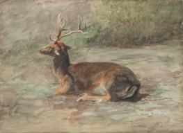 Liegender Hirsch, c.1875/85 von Rosa Bonheur | Gemälde-Reproduktion