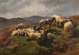 Schafe in den Highlands, 1857 von Rosa Bonheur | Gemälde-Reproduktion