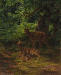 Ruhende Hirsche, 1867 von Rosa Bonheur | Gemälde-Reproduktion